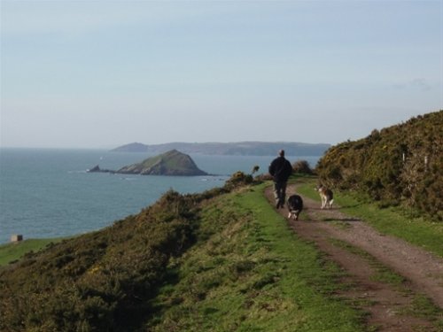 The Mewstone from the coastal path. [ctte-right]